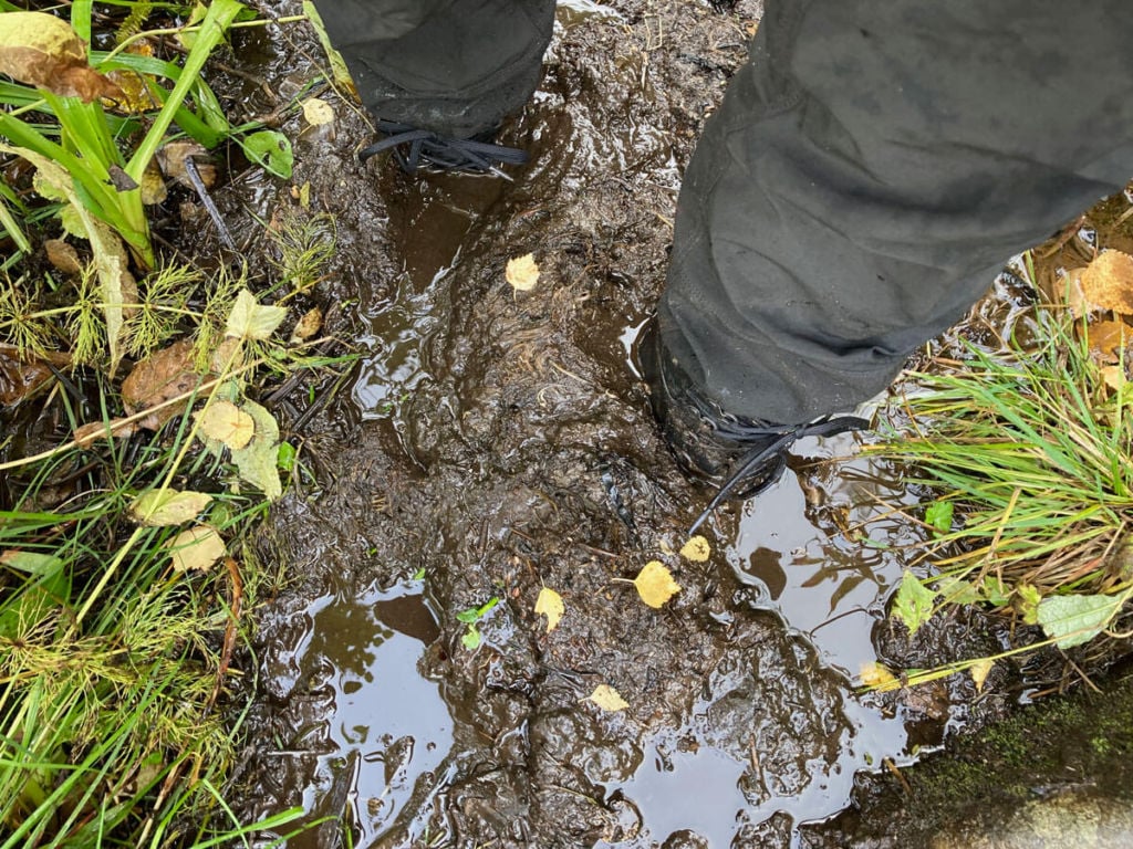 Muddy Veinestinden trail