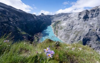 The Limmerensee hike view of the lake and flowers in the foreground