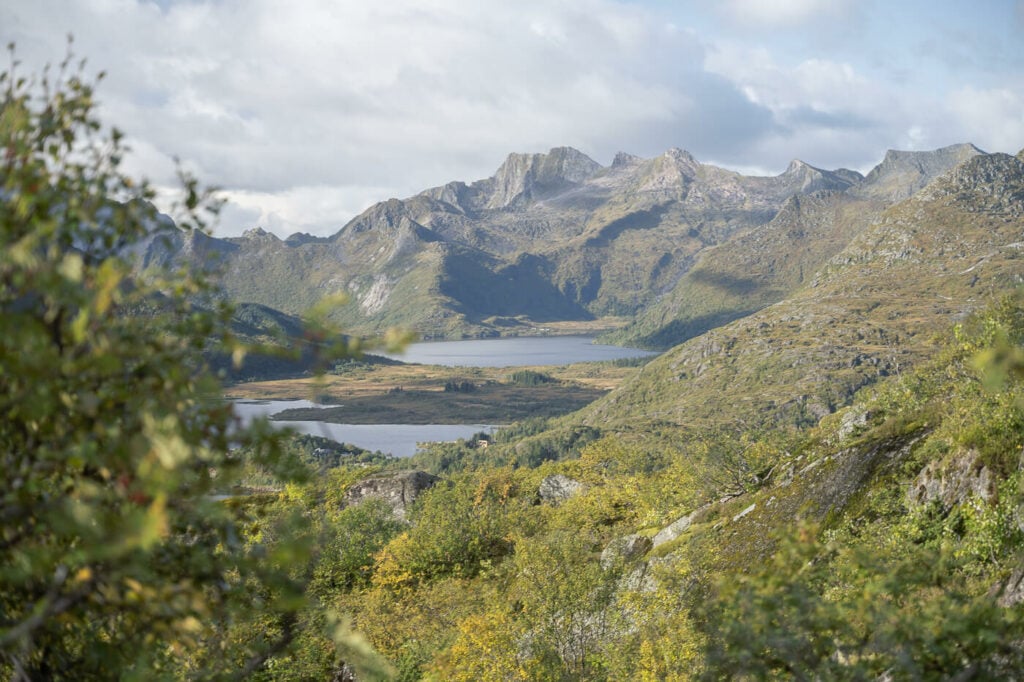 Panoramic view of mountain and lakes in a green scenery from the Hike to Floya in the Lofoten
