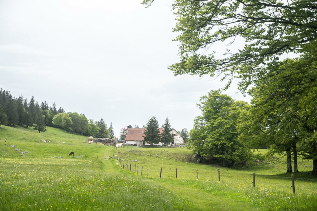 Hut in a green fields partly hidden by trees.