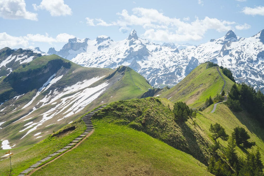 mountains partly covered in green grass and partly in snow, with snow-capped mountains in the background.