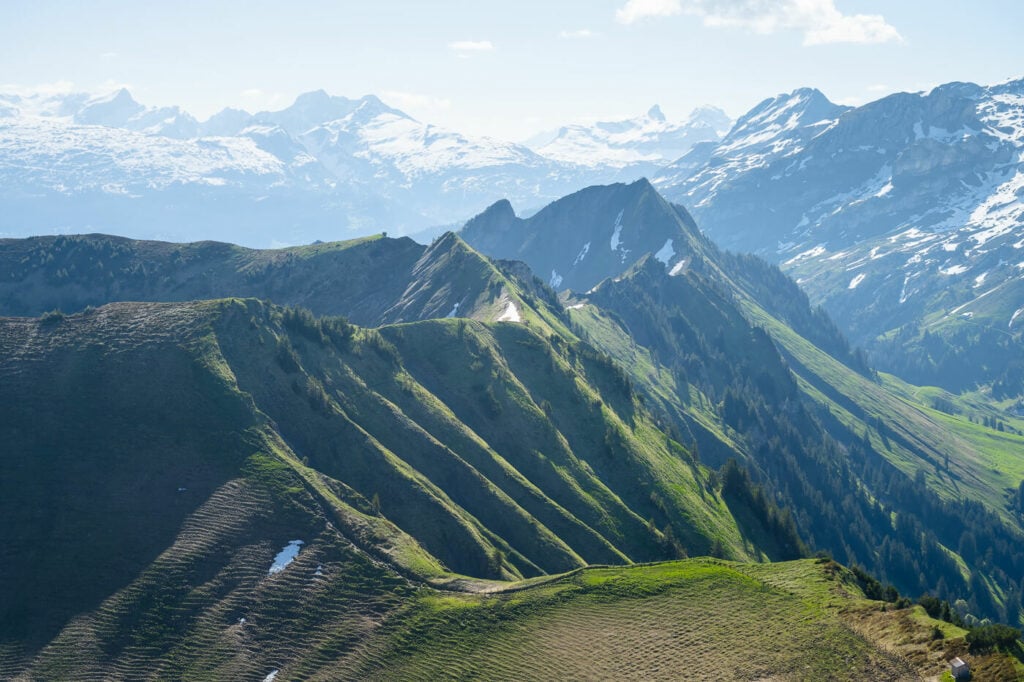 Green Ridgeline of a mountain with snow-caped alps in the background.