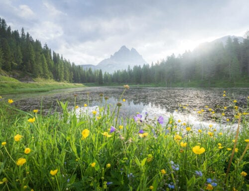 Lago d’Antorno Scenic Spot and Easy Loop Walk