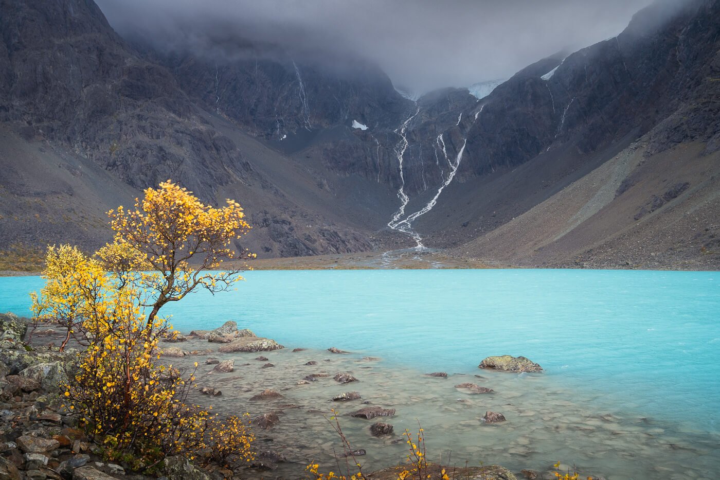 View of the blue waters of Lake Blåisvatnet with a birch tree and its yellow leaves next to it at the end of a hike to the lake.