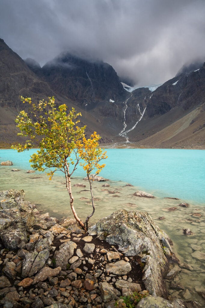 Birch trees seemingly growing on a rock in front of a blue lake called Blaisvatnet in the Lyngen Alps