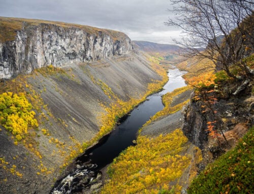 Alta Canyon Hike – A Beautiful Canyon in the Arctic Tundra