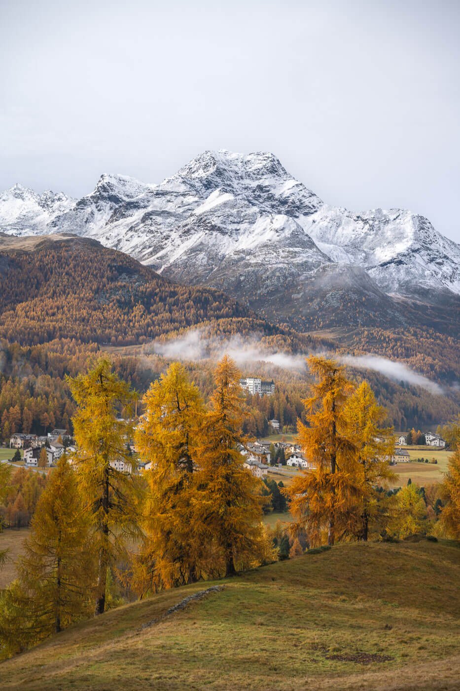 Golden larches on the hiking trail from Silvaplana to Maloja