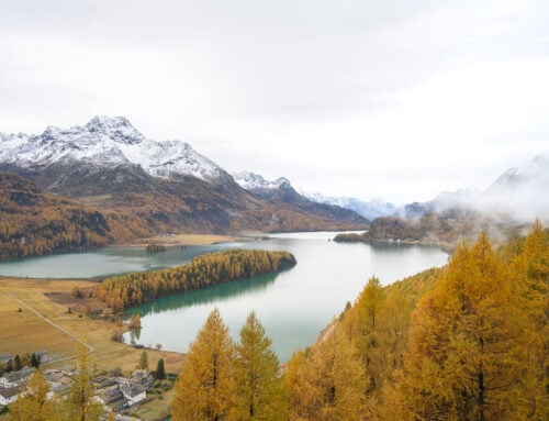 Silvaplana to Maloja Hike – Autumn Hike in the Engadine