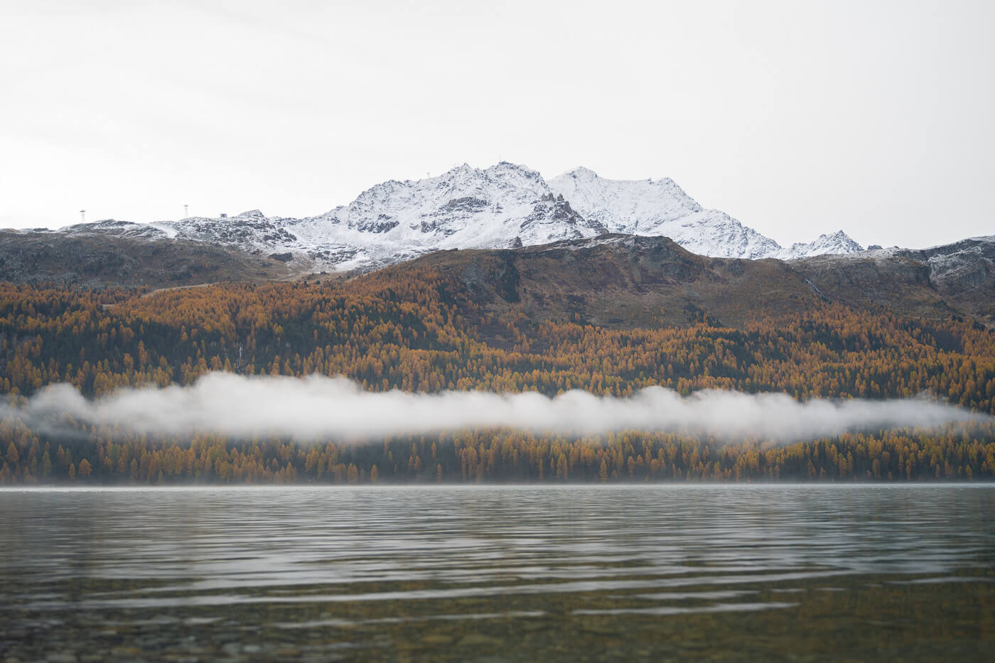 Silvaplanersee with low clouds hanging on the lake, and golden larches around it.