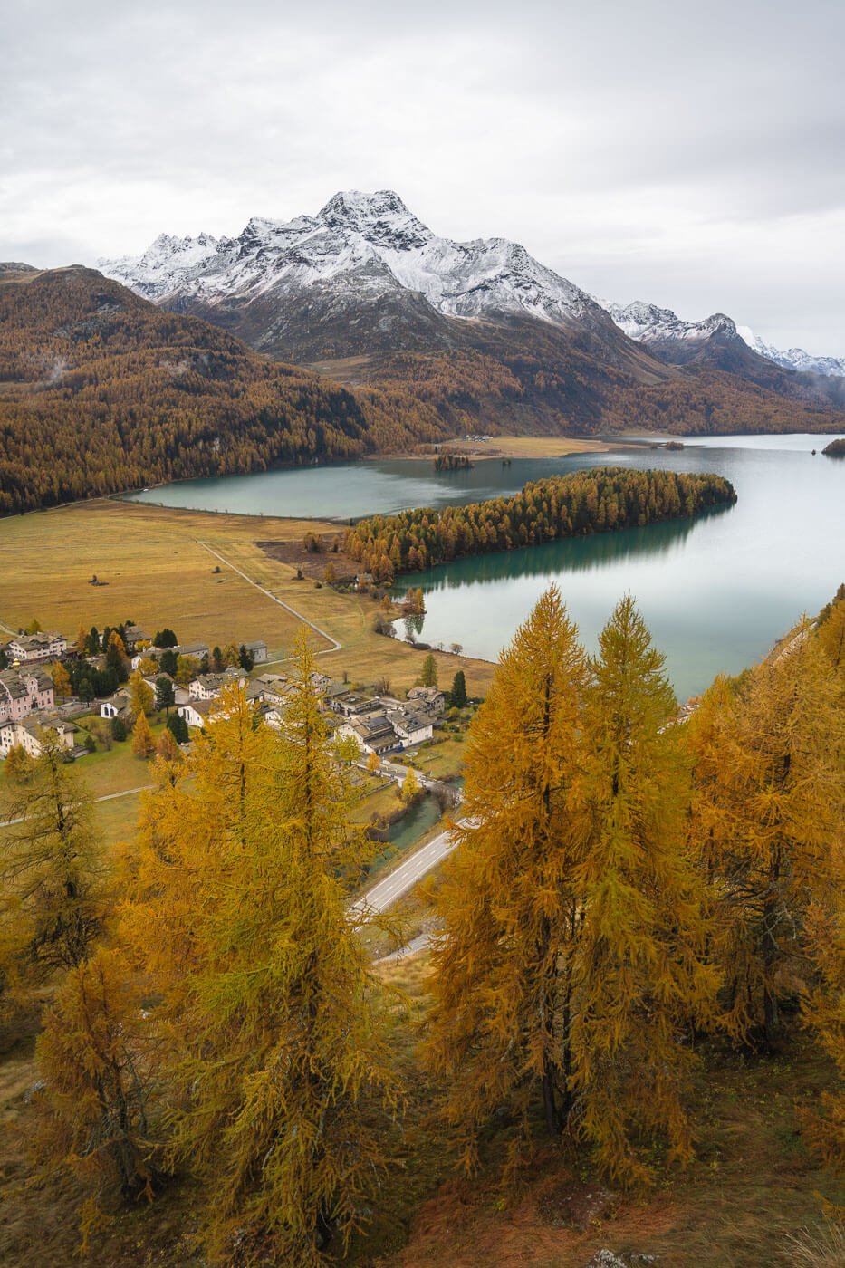 Plaz viewpoint on the hike between SIlvaplana and Maloja, under a grey autumn sky with the landscape dotted with yellow larches.