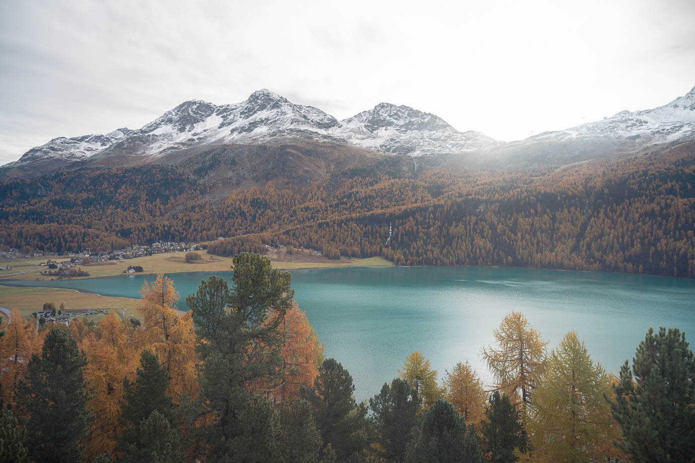 Sunr rising above Silvaplanersee in the Engadine over a scenery filled with golden larches in Autumn.