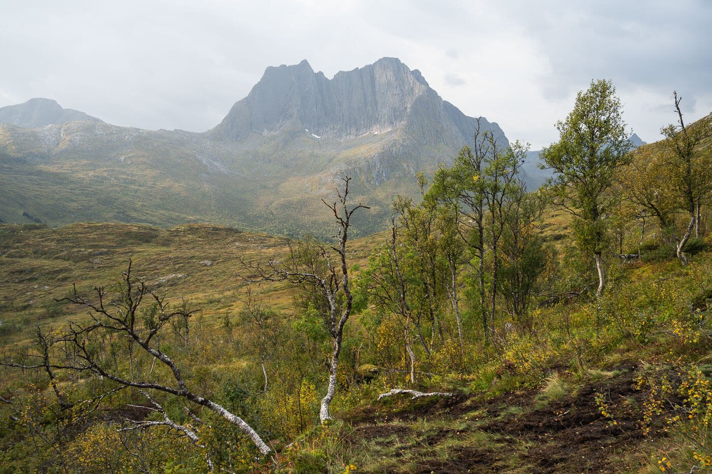 View of Breditinden a mountain on the Isalnd of Senja