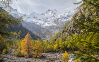 View of the Gran Paradiso massif on a sunny day from the hiking trail to Alpe Money in Valnontey,