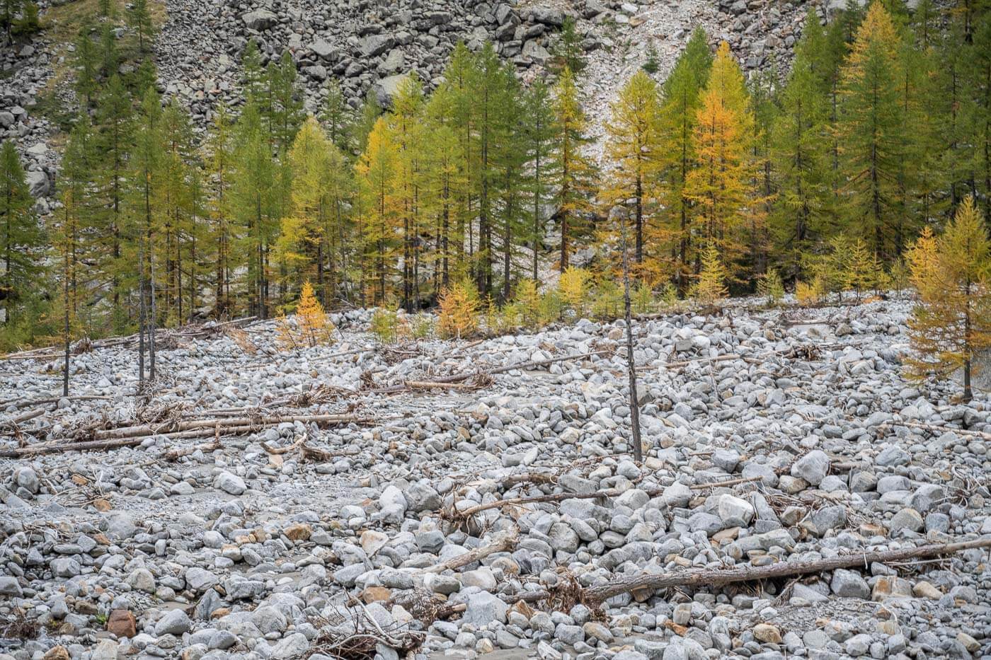 Rocks from a landslide in Valnontey.