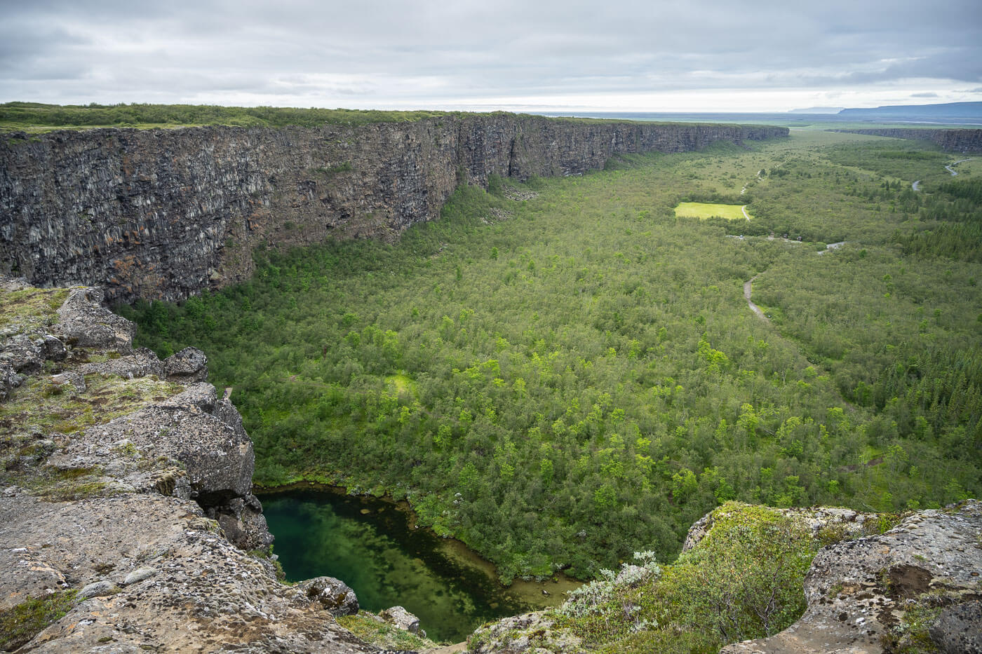 View of the Ásbyrgi Canyon from above on a cloudy day.