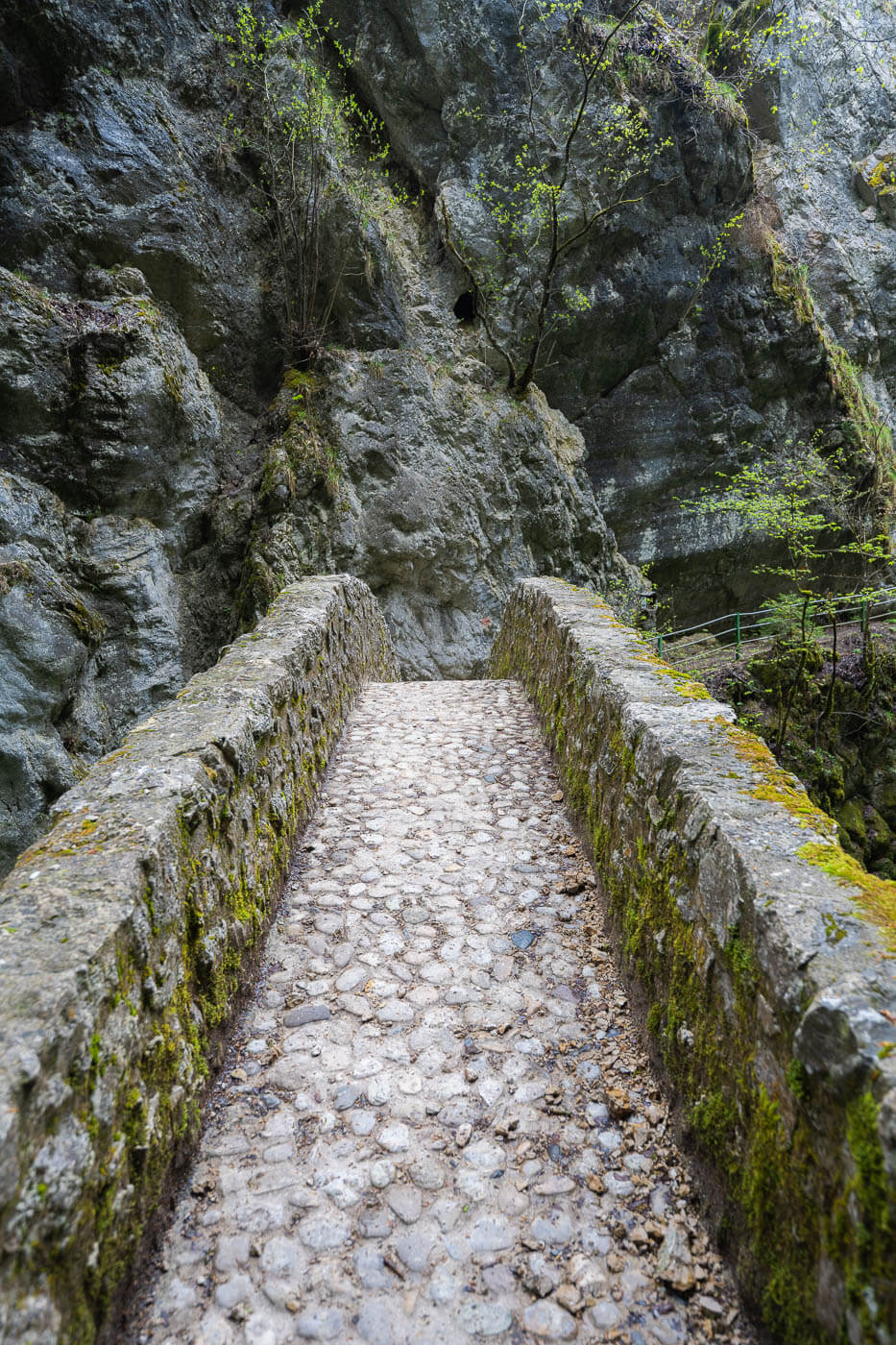 Stone arch bridge in a gorge in Switzerland