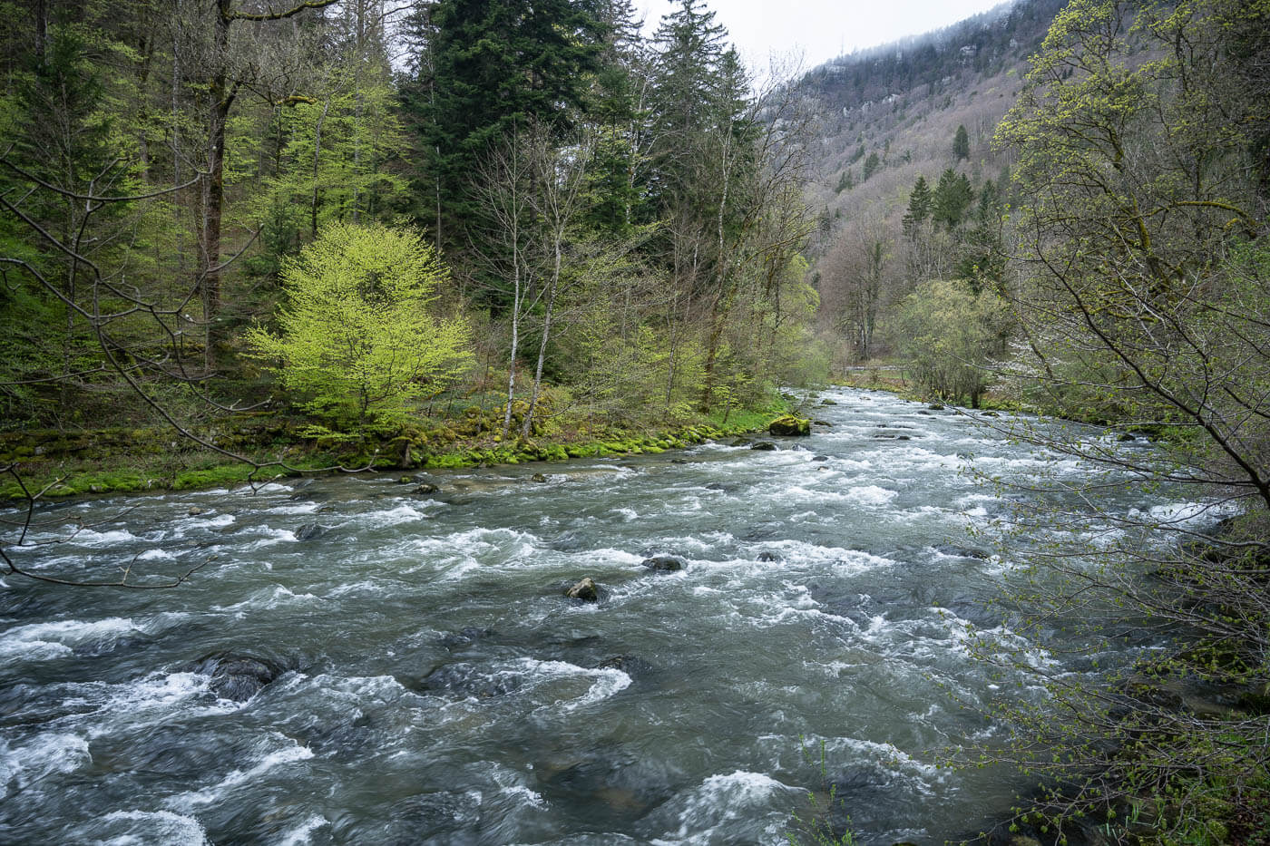 Areuse River near Noirague