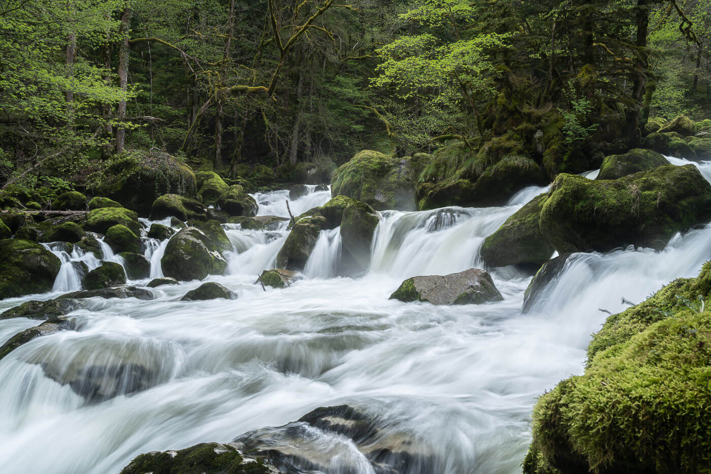 Waterfall in the forest along the Areuse River