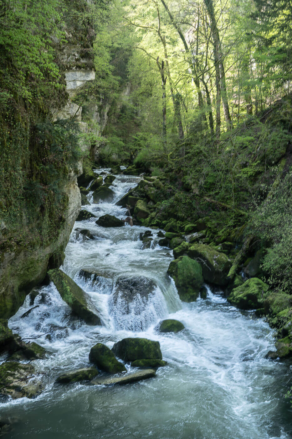 Gorges de l'Areuse, a small, narrow canyon in the forest.