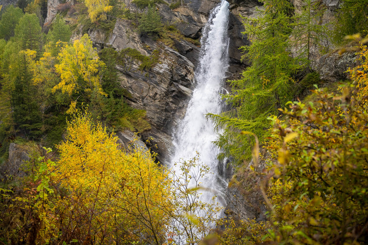 View of a waterfall near Cogne, surrounded by vegetation in its autumnal colors.
