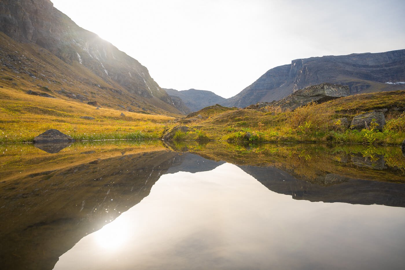 small pond reflecting the landscape around it