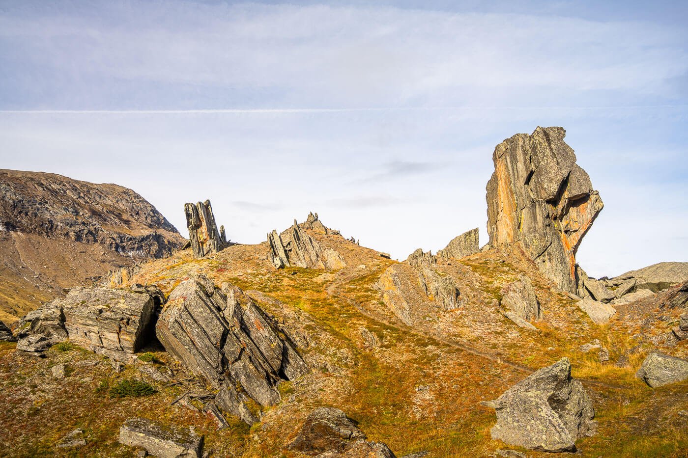 Svensk Fjällsphinx or the swedish mountain sphinx