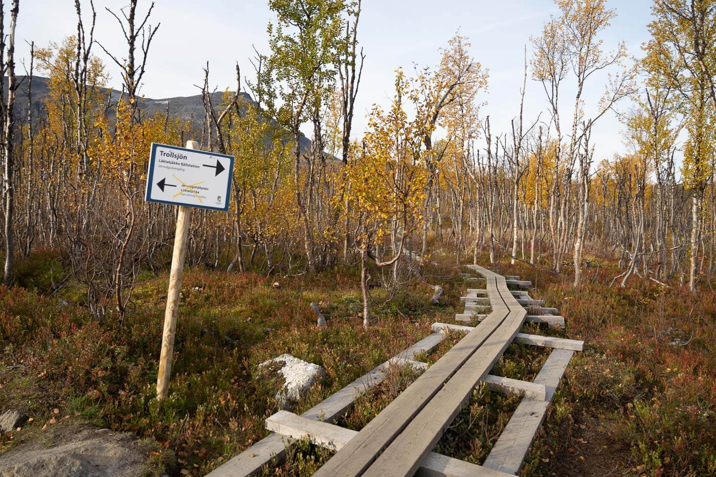 Part of the trail to Trollsjon on planks