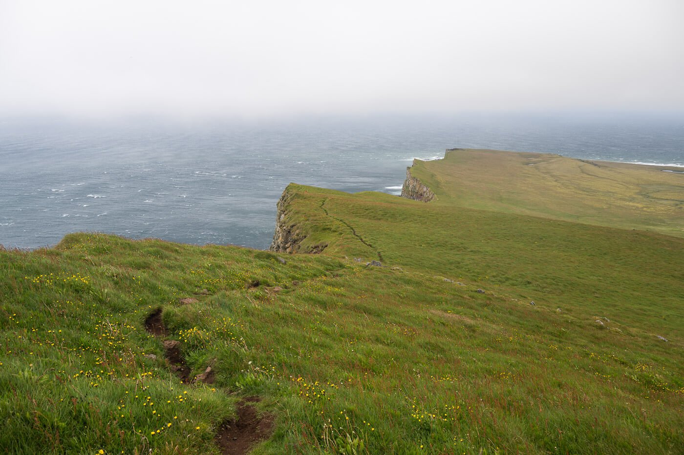 View of the hiking trail at Látrabjarg