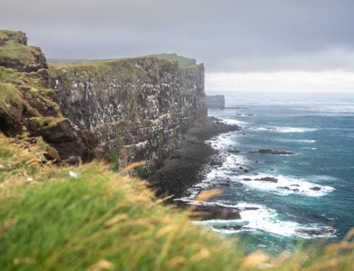 Látrabjarg Cliffs Hike – See the Puffin Cliffs (..and the Puffins!)