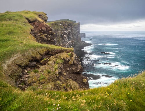 Látrabjarg Cliffs Hike – See the Puffin Cliffs (..and the Puffins!)