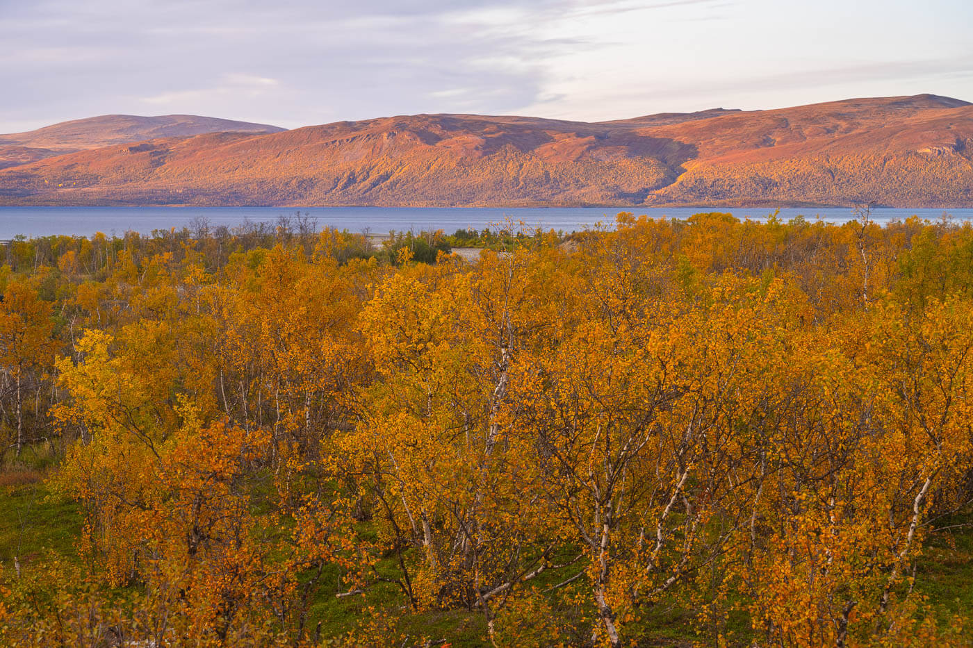 Warm Sunset light hitting the slopes of the mountains around Lake Torneträsk in Abisko
