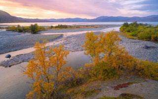 Abiskojåkka River Delat where it merges into Lake Torneträsk