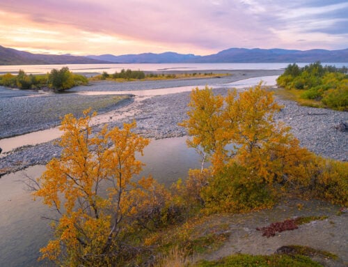 Abiskoeatnu Canyon and Abiskojåkka River Delta, Abisko, Sweden