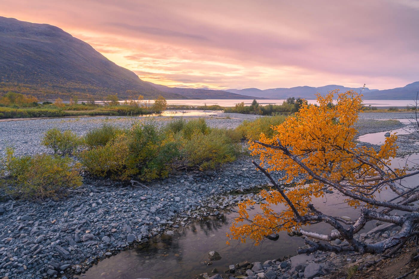 Abiskojokk river delta at sunset with colorful skies and birch trees.