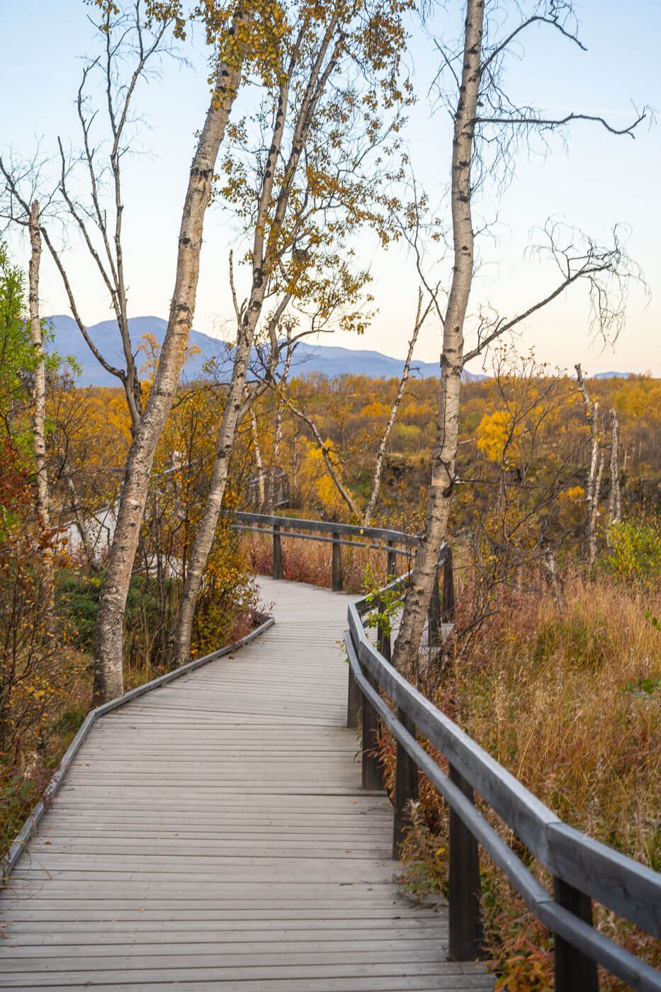 Abiskoeatnu Canyon Trail on walkboards