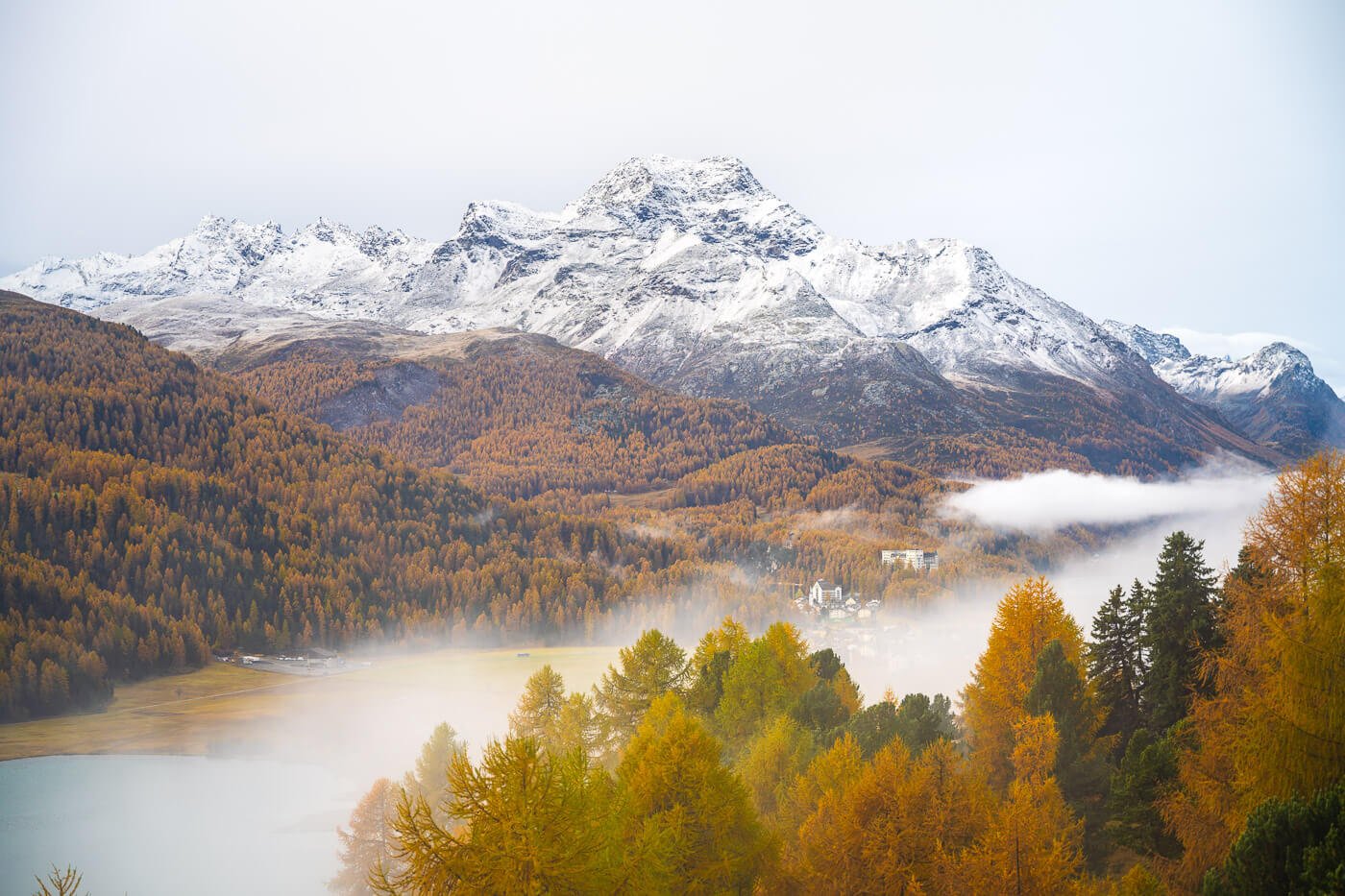 fall foliage with fig and snow-capped mountains in the background.