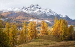 Landscape Photography image of Autumn colors