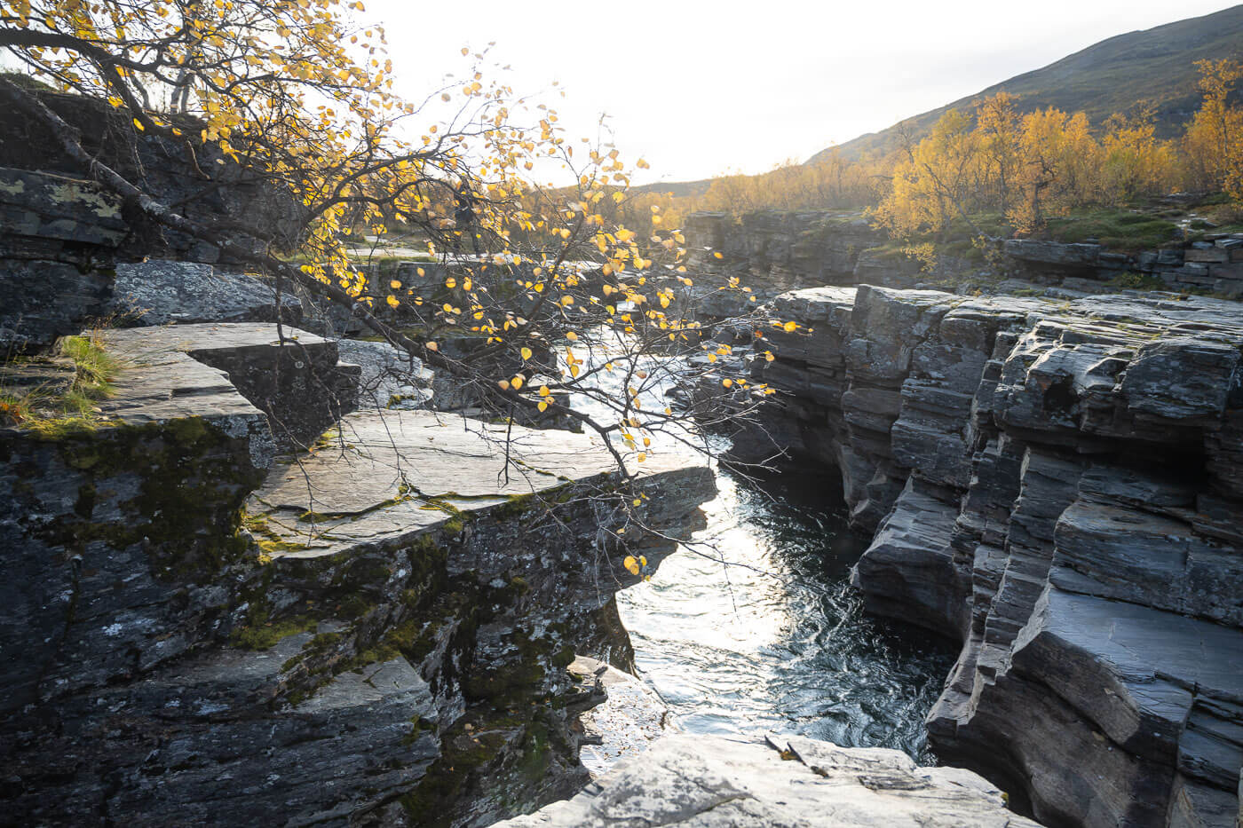 Dreamy image of trees and a river in the Abisko National Park in Autumn