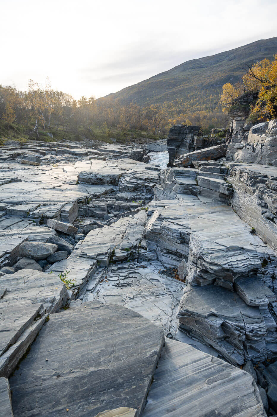 Layers of along the Abiskojokk river rocks carved by the glacial river