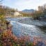 Photo of the Abiskojokk river taken during a hike on the Njakajaure Trail