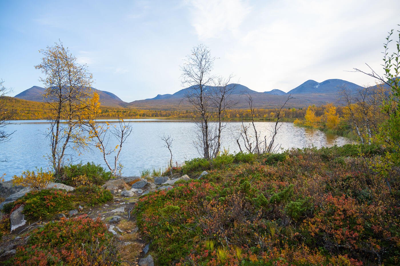 Lake Njakajaure in autumn, with vibrant vegetation colors