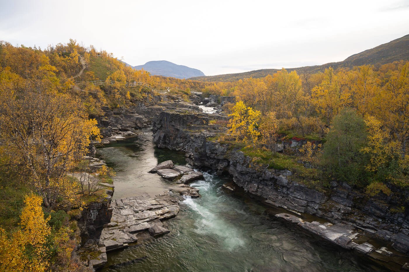 Autumn in Abisko with vibrant autumn colors 