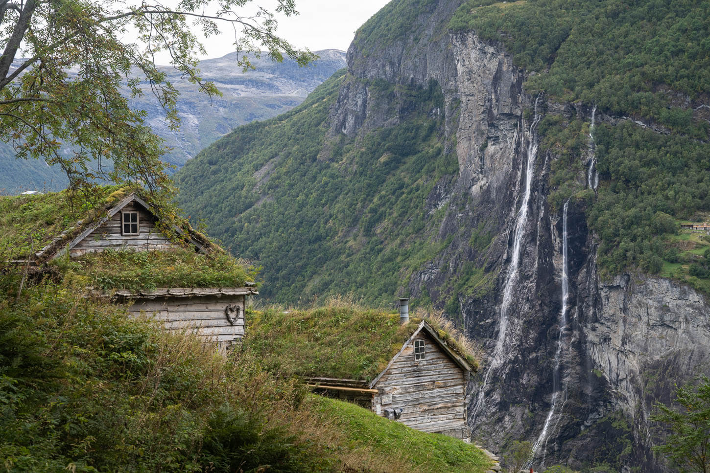 View of the Skageflå Farm