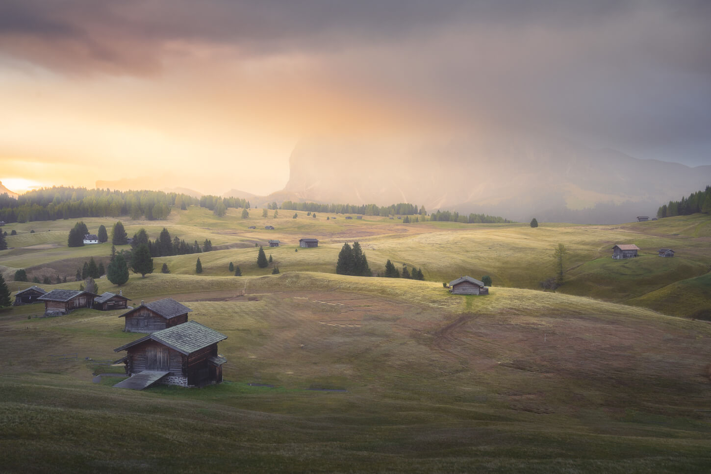 Alpe di Siusi meadow in the golden light of Sunrise.