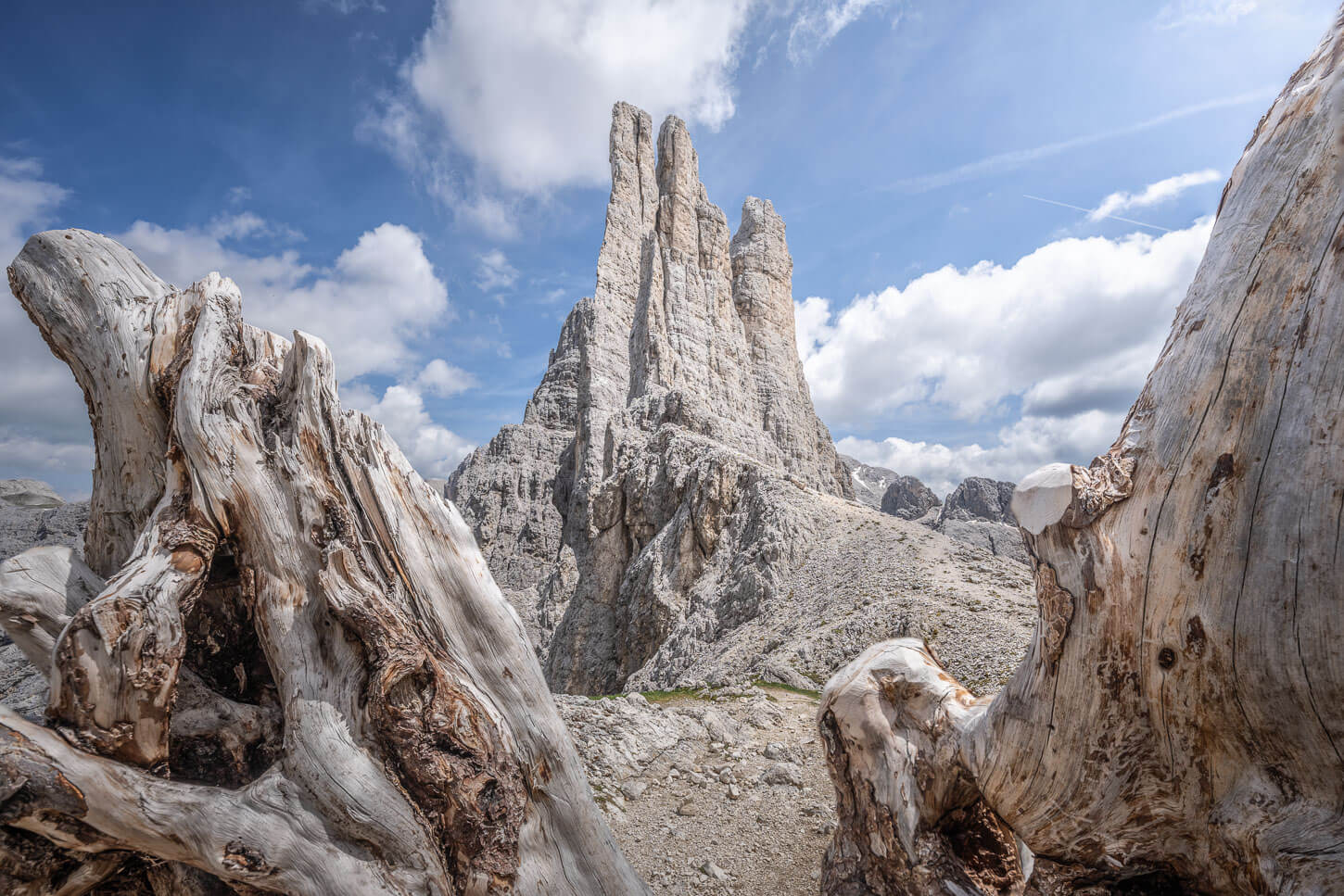 View of Torri del Vajolet framed by the roots of a dead tree.
