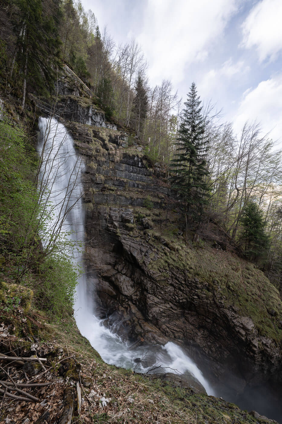 Waterfall in the forest