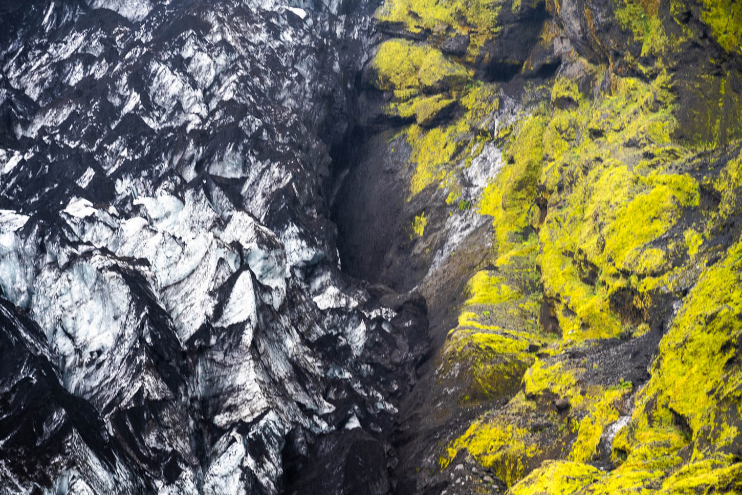 Ipclose view of Gígjökull and the ice again the moss-covered rocks next to it.