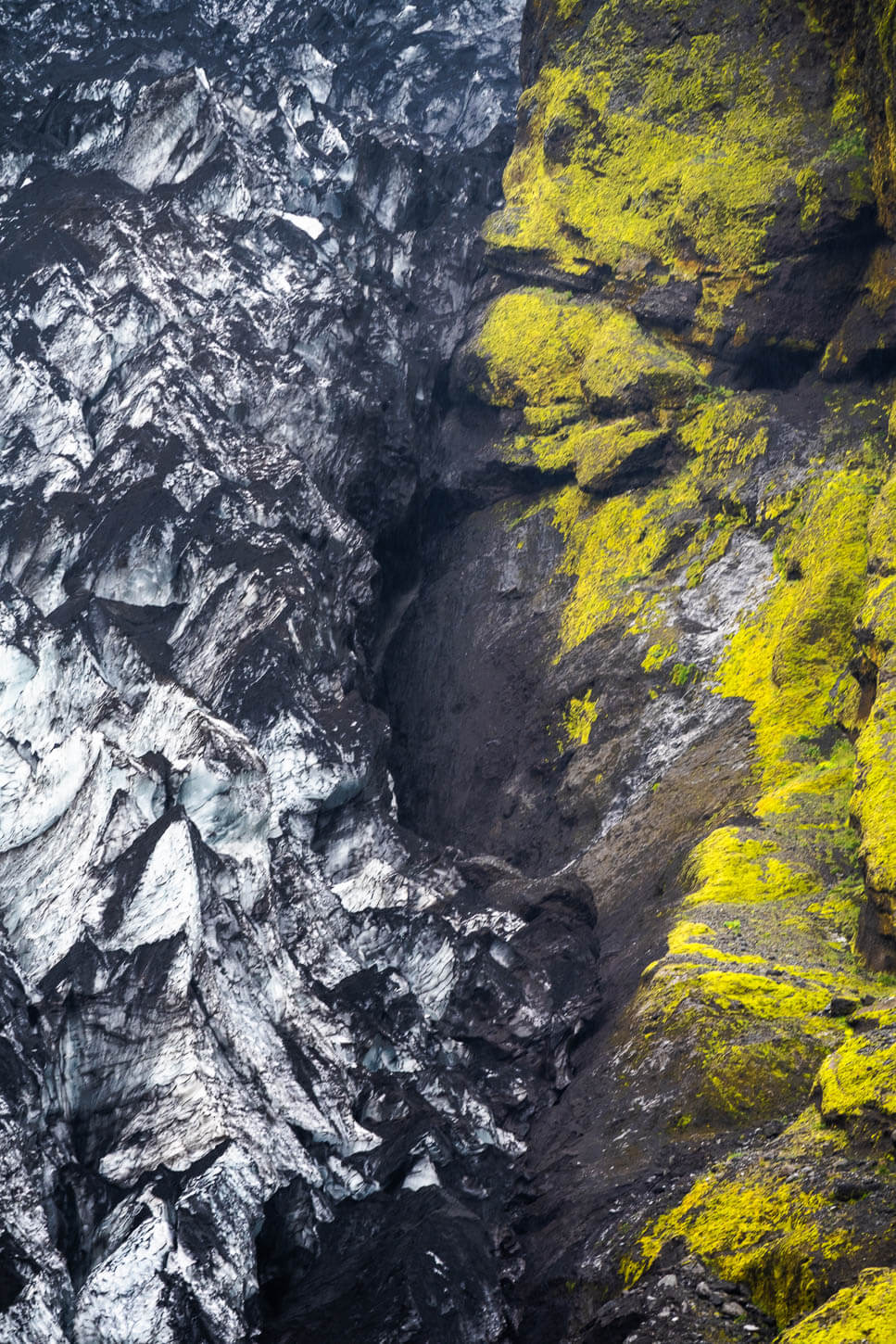 Abstract image of a glacier and rocks covered in green moss in Iceland.