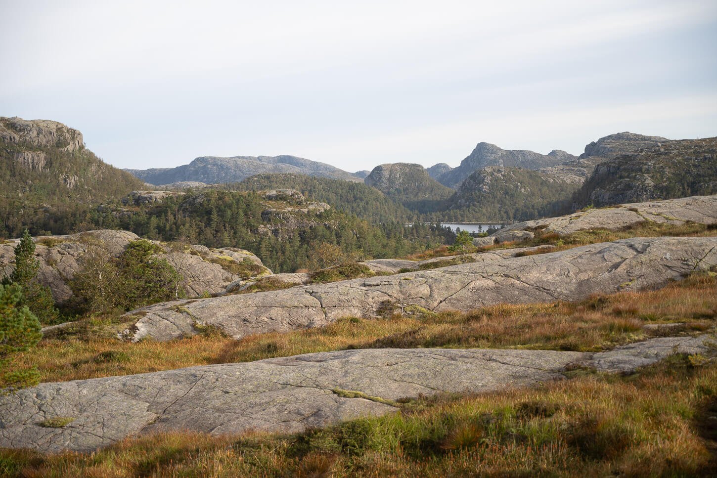View of the rocky landscape around the hiking trail to the pulpit rock in Norway.