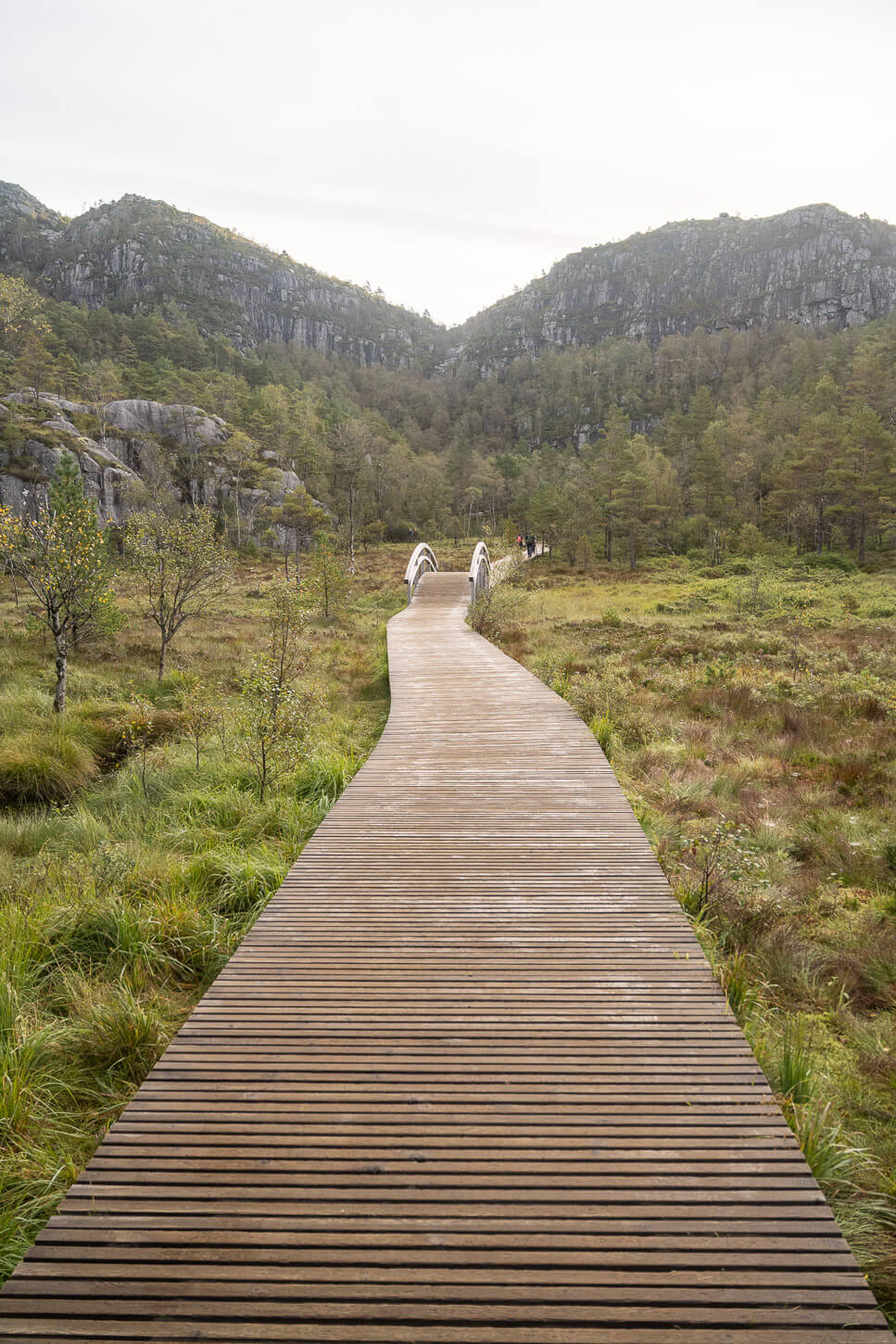 Walkboard across a marsh on the trail to Preikestolen.